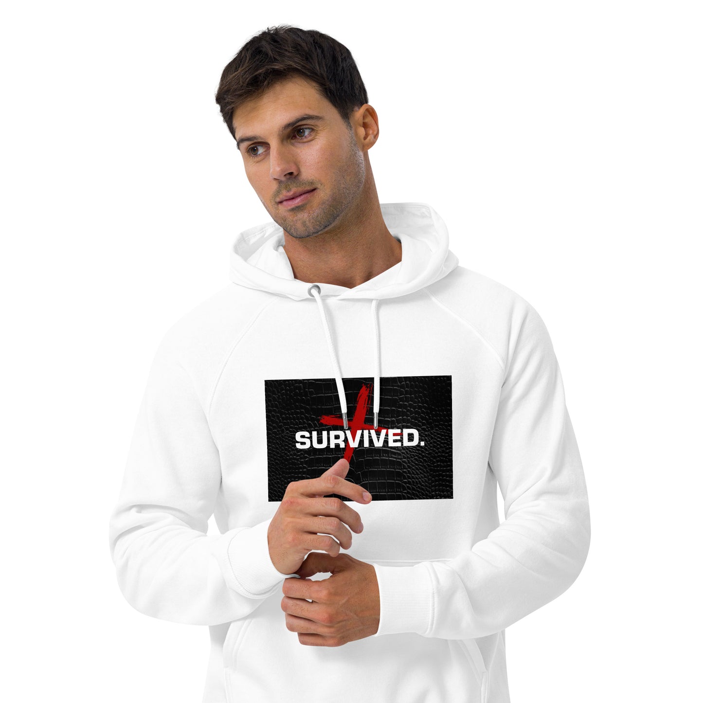 Unisex Survived raglan hoodie