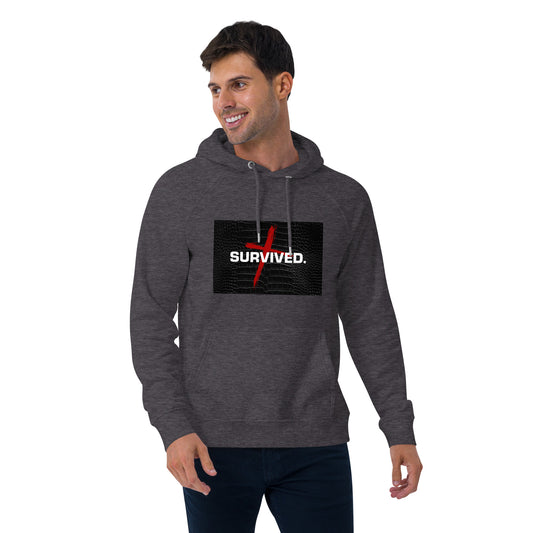 Unisex Survived raglan hoodie